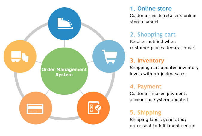 Odoo • Image and Text
